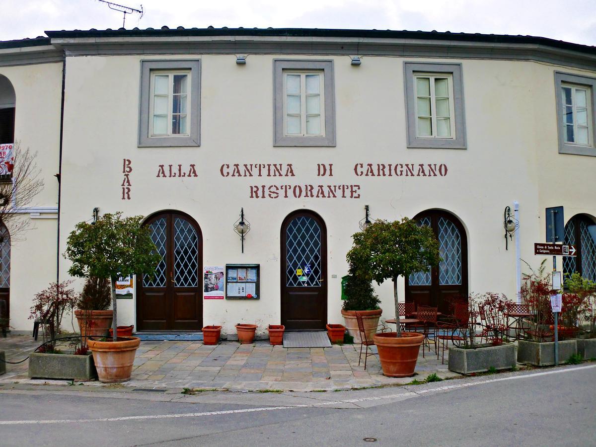 Tuscan Sun Holiday Apartments Lucca Exteriör bild